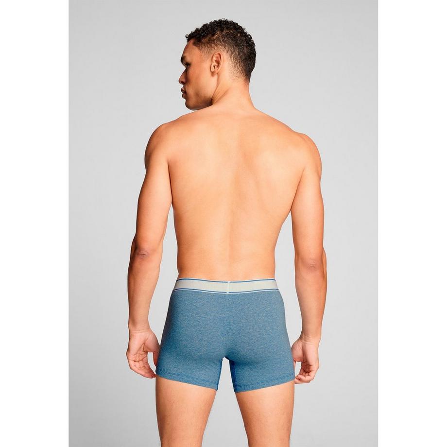 Levi's® Vintage Heather Boxer Brief Confezione Doppia  