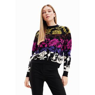 Desigual  Pullover 