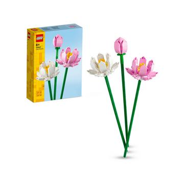 40647 Fiori di loto