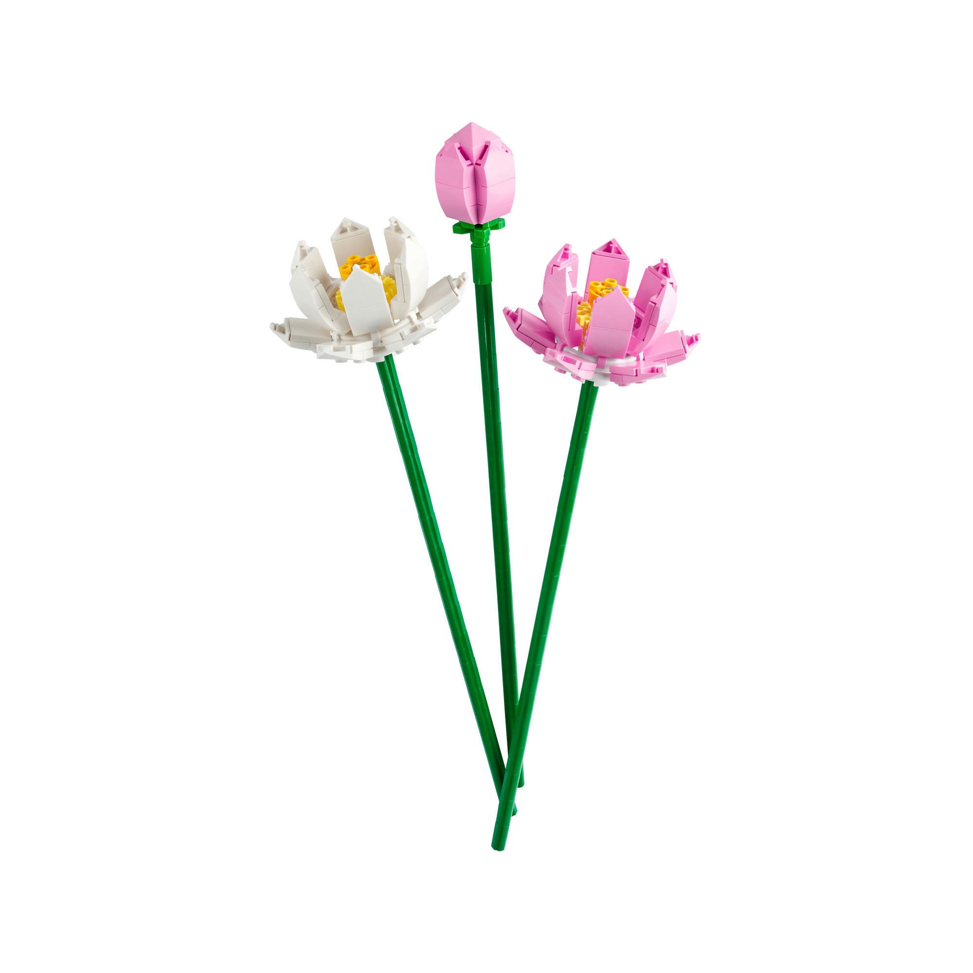 LEGO®  40647 Les fleurs de lotus 