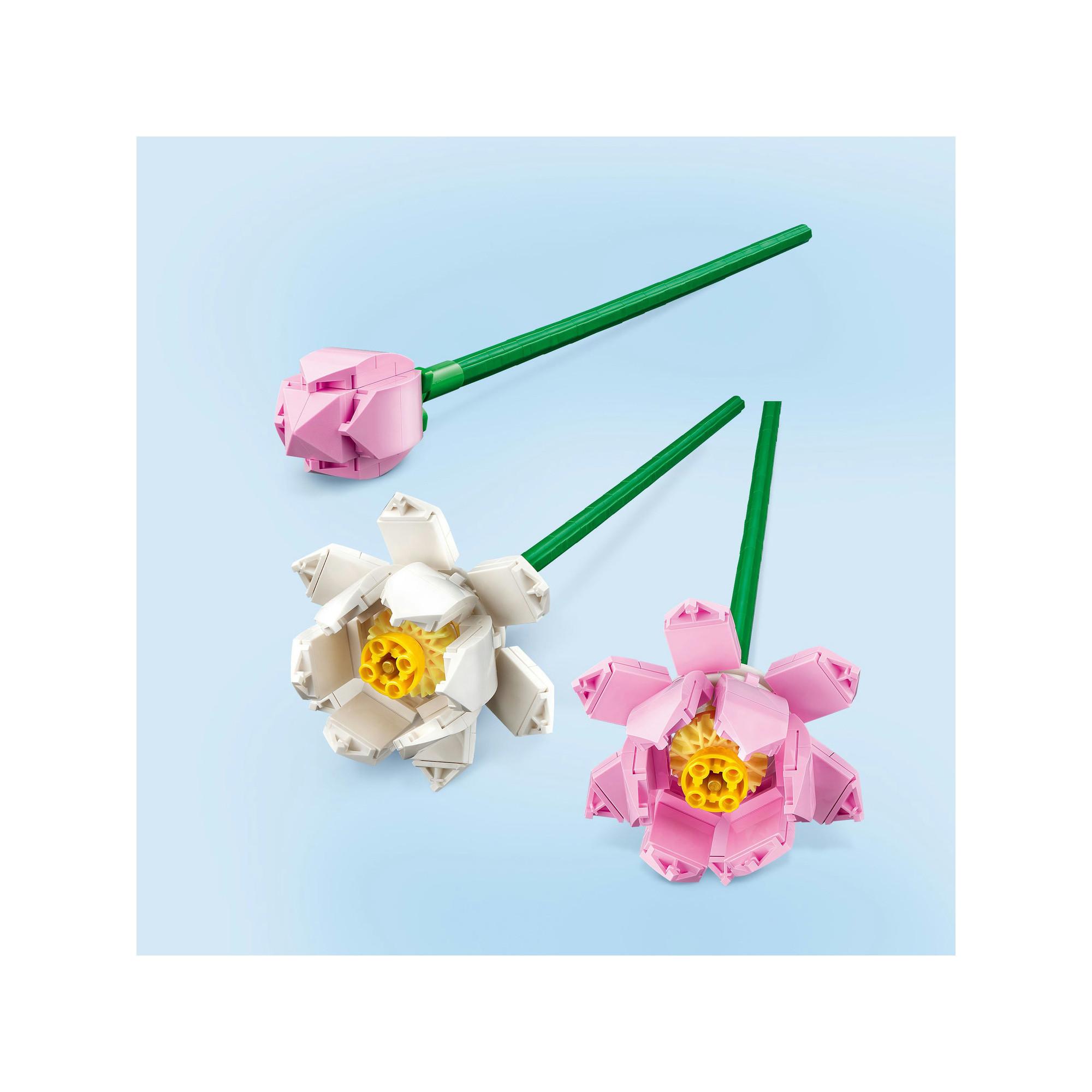 LEGO®  40647 Les fleurs de lotus 