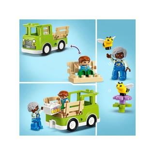 LEGO®  10419 Prendre soin des abeilles et des ruches 