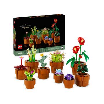 10329 Les plantes miniatures