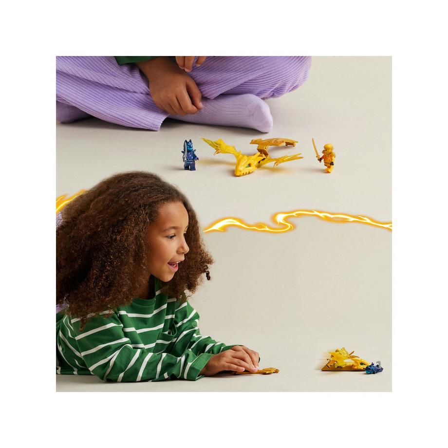 LEGO®  71803 Arins Drachengleiter 