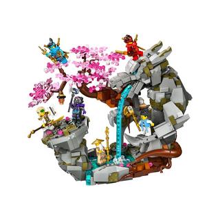 LEGO®  71819 Le sanctuaire de la roche du dragon 