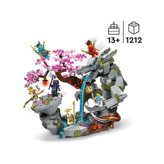 LEGO®  71819 Le sanctuaire de la roche du dragon 