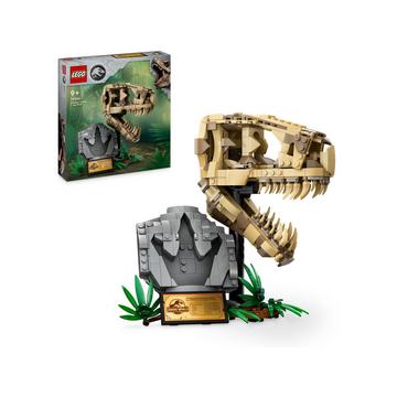 76964 Les fossiles de dinosaures : le crâne du T. rex