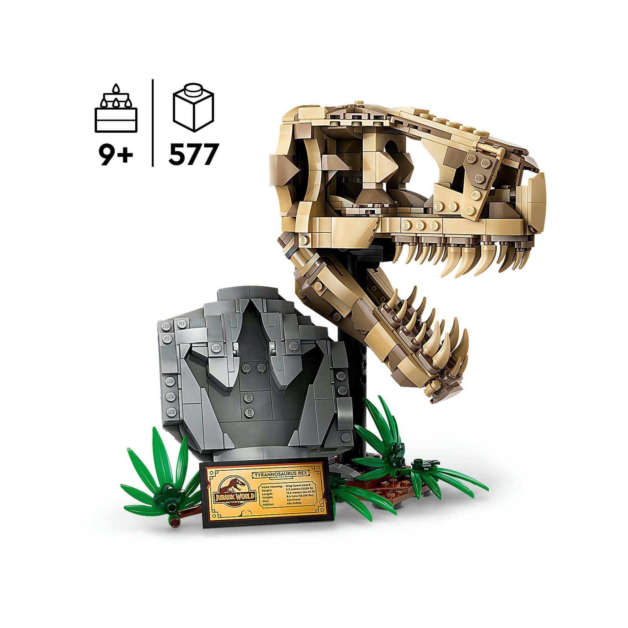 LEGO®  76964 Les fossiles de dinosaures : le crâne du T. rex 