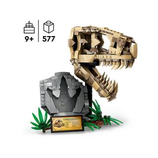 LEGO®  76964 Les fossiles de dinosaures : le crâne du T. rex 