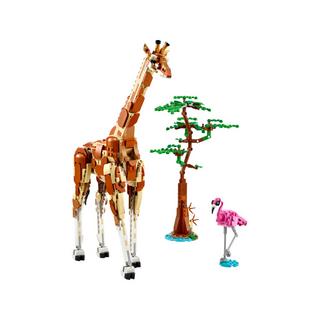 LEGO  31150 Les animaux sauvages du safari 