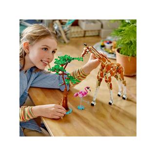 LEGO®  31150 Les animaux sauvages du safari 