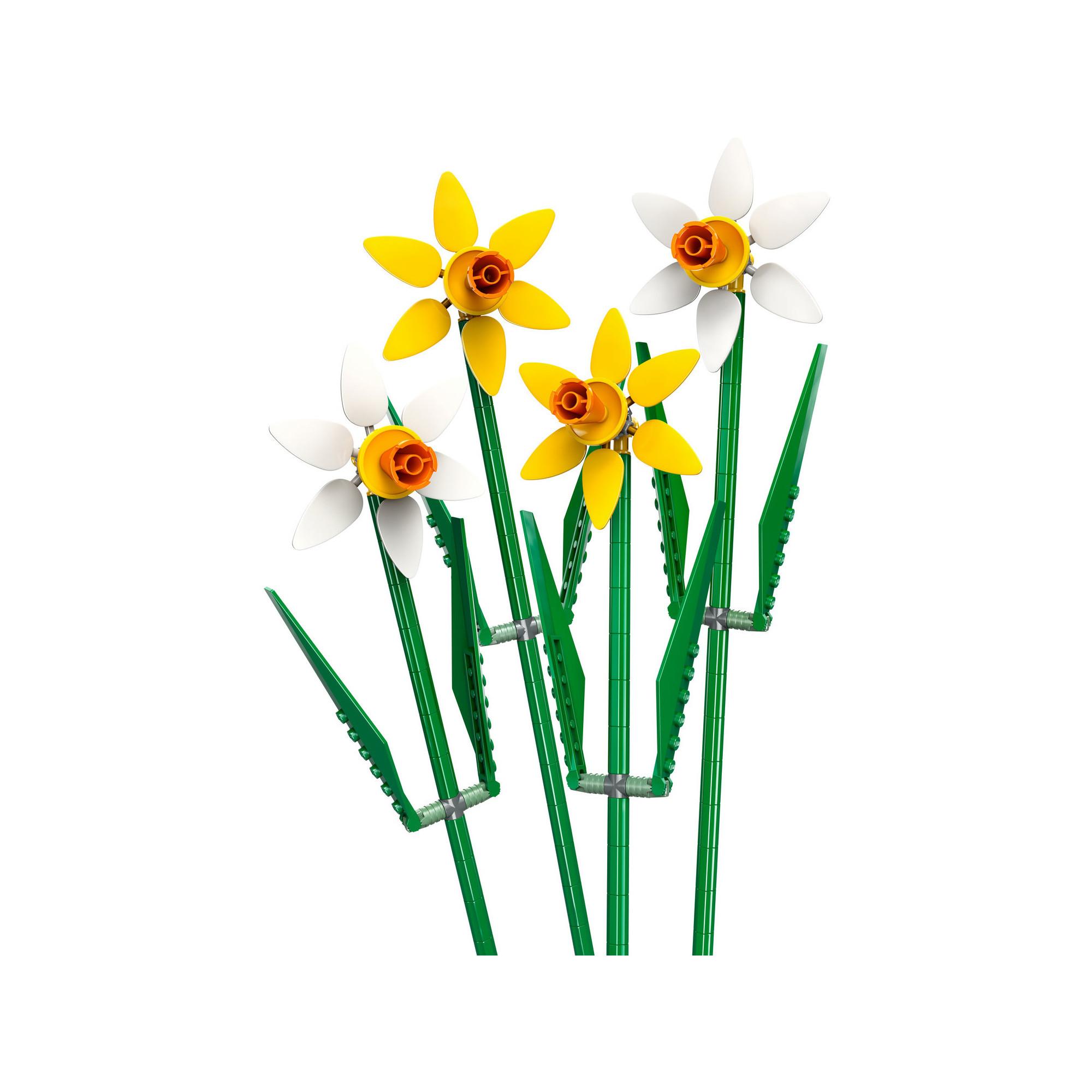 LEGO®  40747 Narcisi 