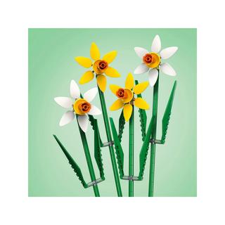 LEGO®  40747 Narcisi 