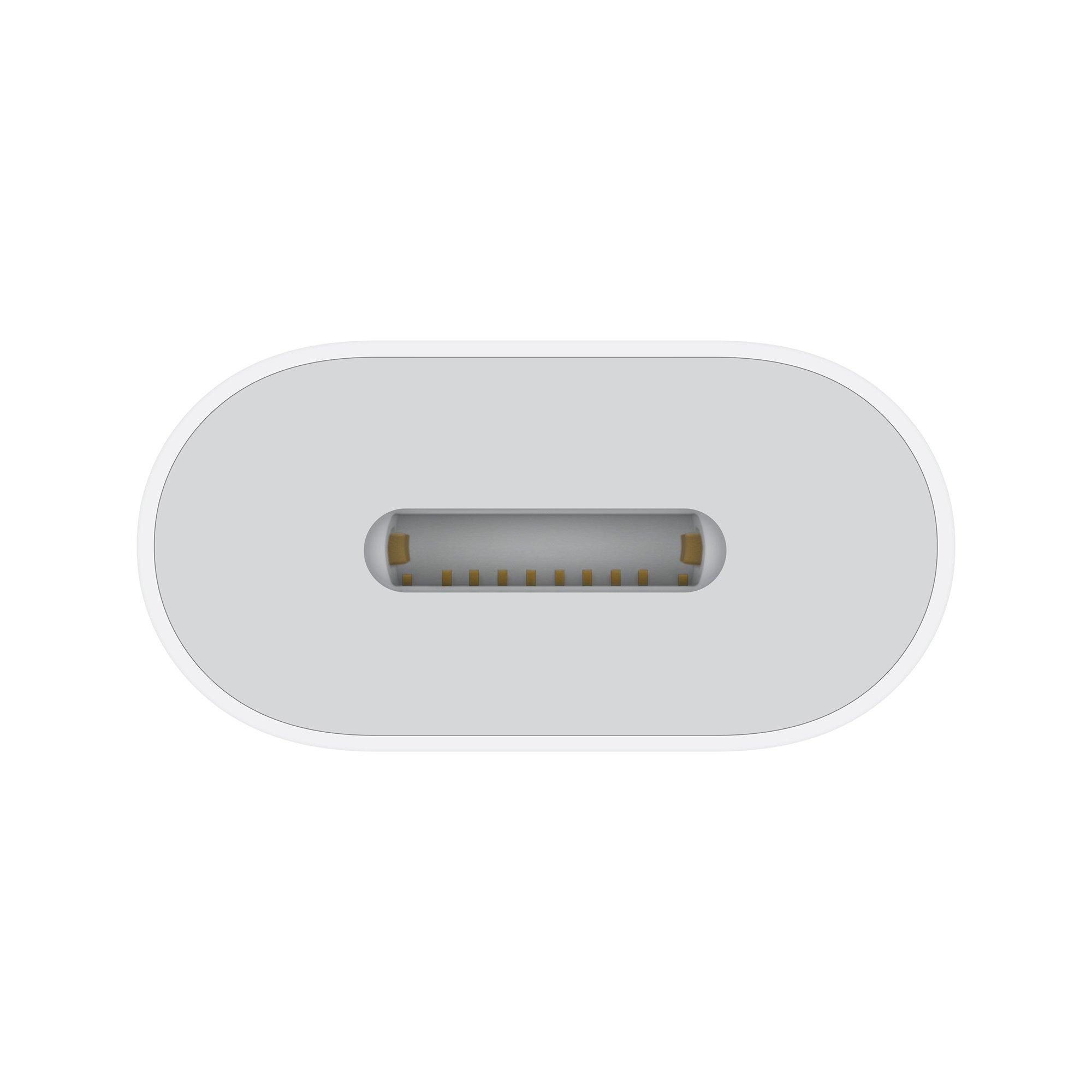Apple USB-C to Lightning Adapter Adaptateur 