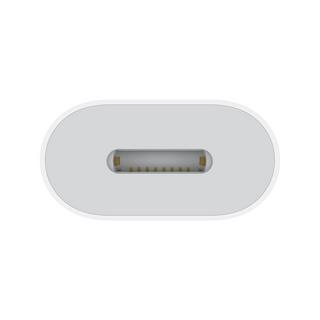 Apple USB-C to Lightning Adapter Adattatore 