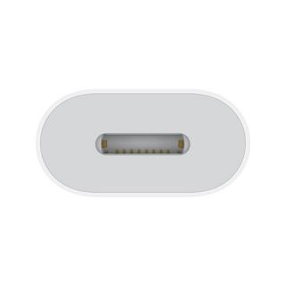 Apple USB-C to Lightning Adapter Adapter 