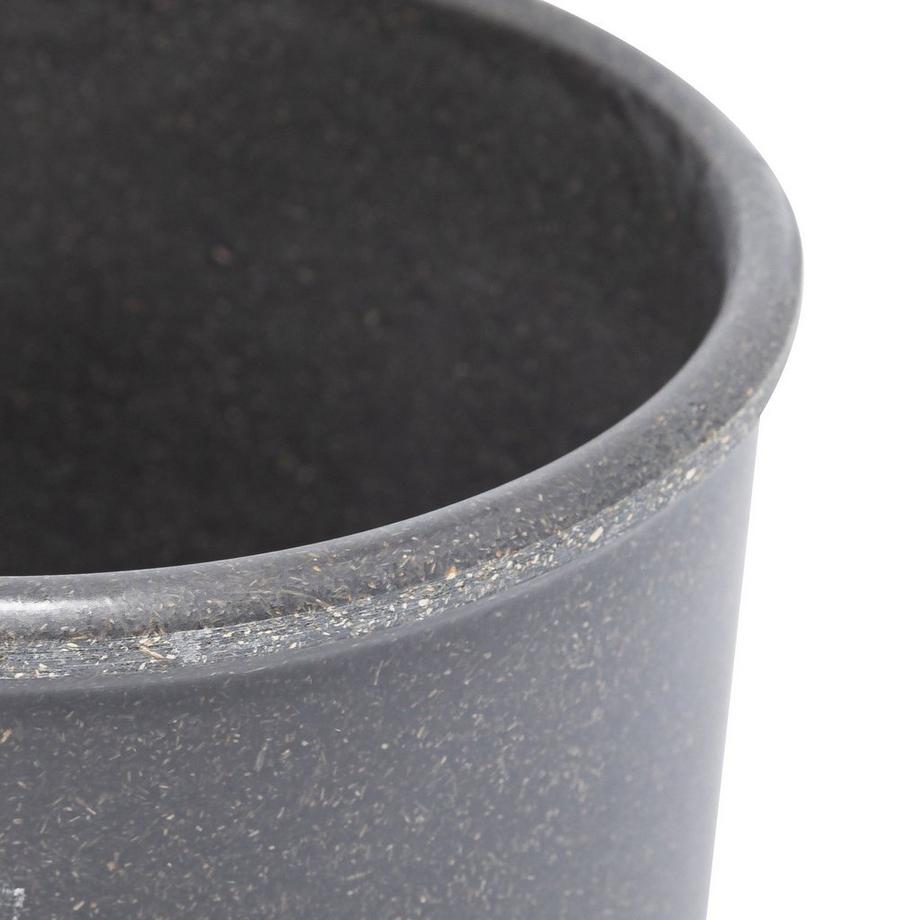 Manor Coprivaso Grisa 