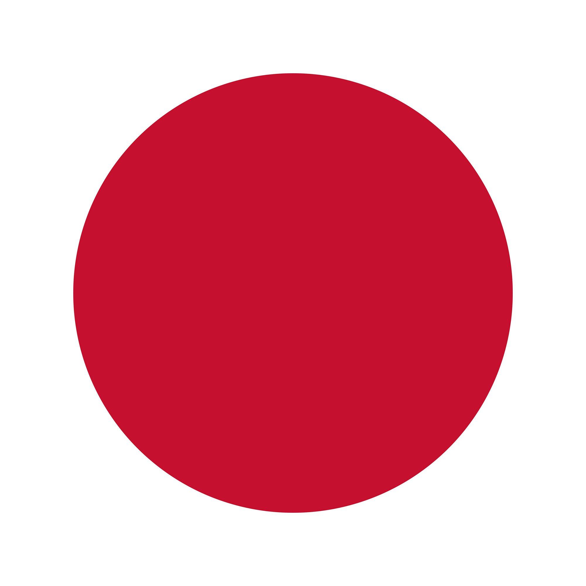 WYCON  Shiny Lipstick 