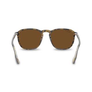 Ray Ban RB2203 Runde Sonnenbrille  