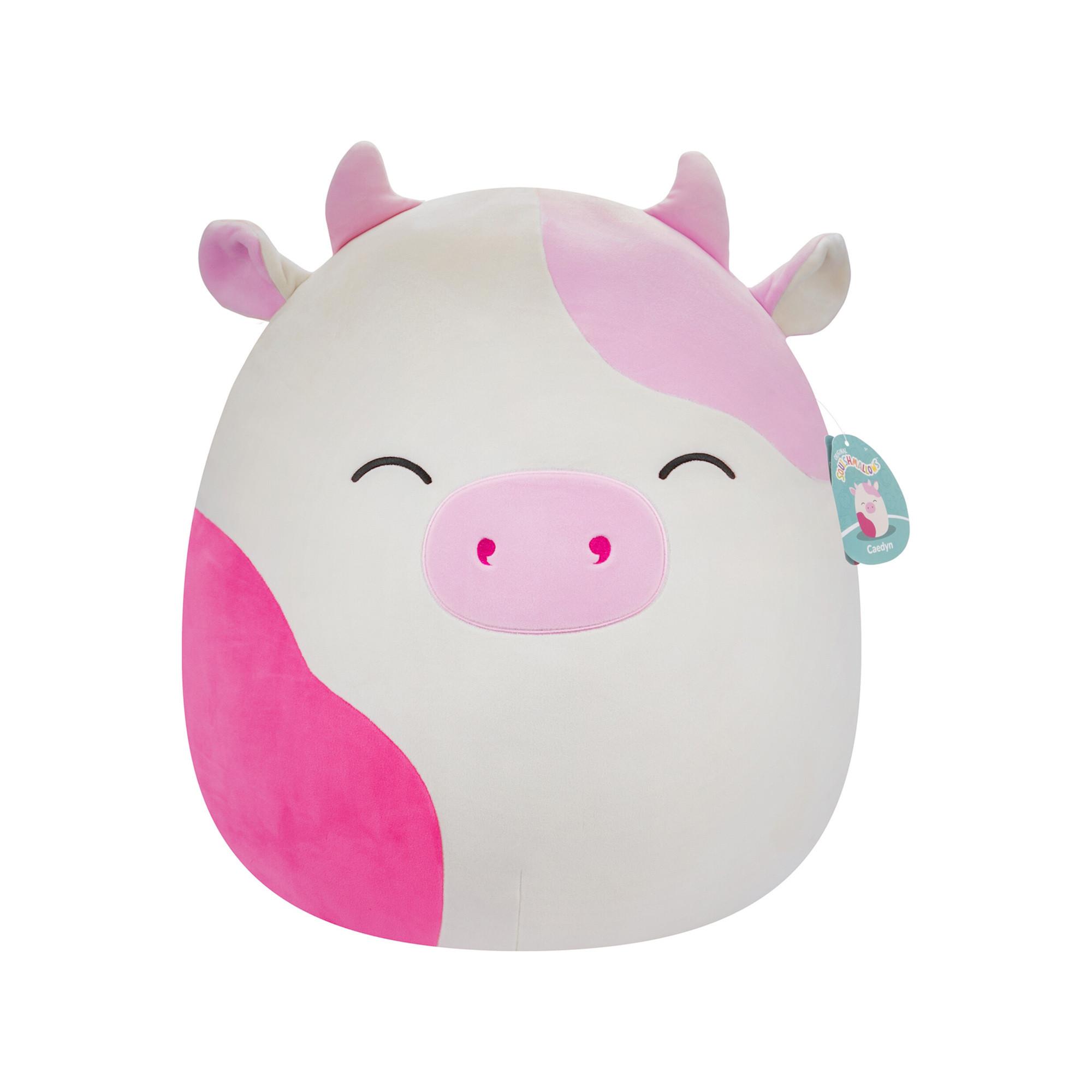 Squishmallows  Caedyn Kuh 