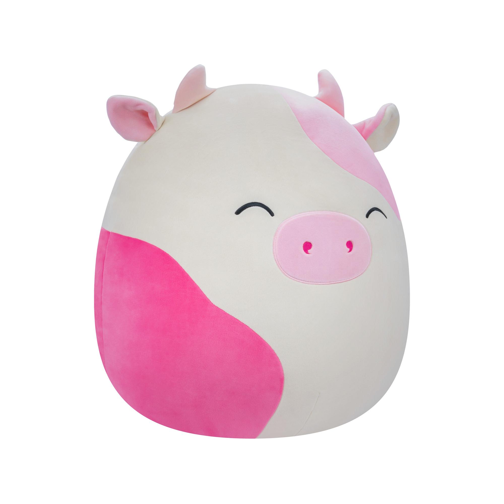 Squishmallows  Caedyn Kuh 