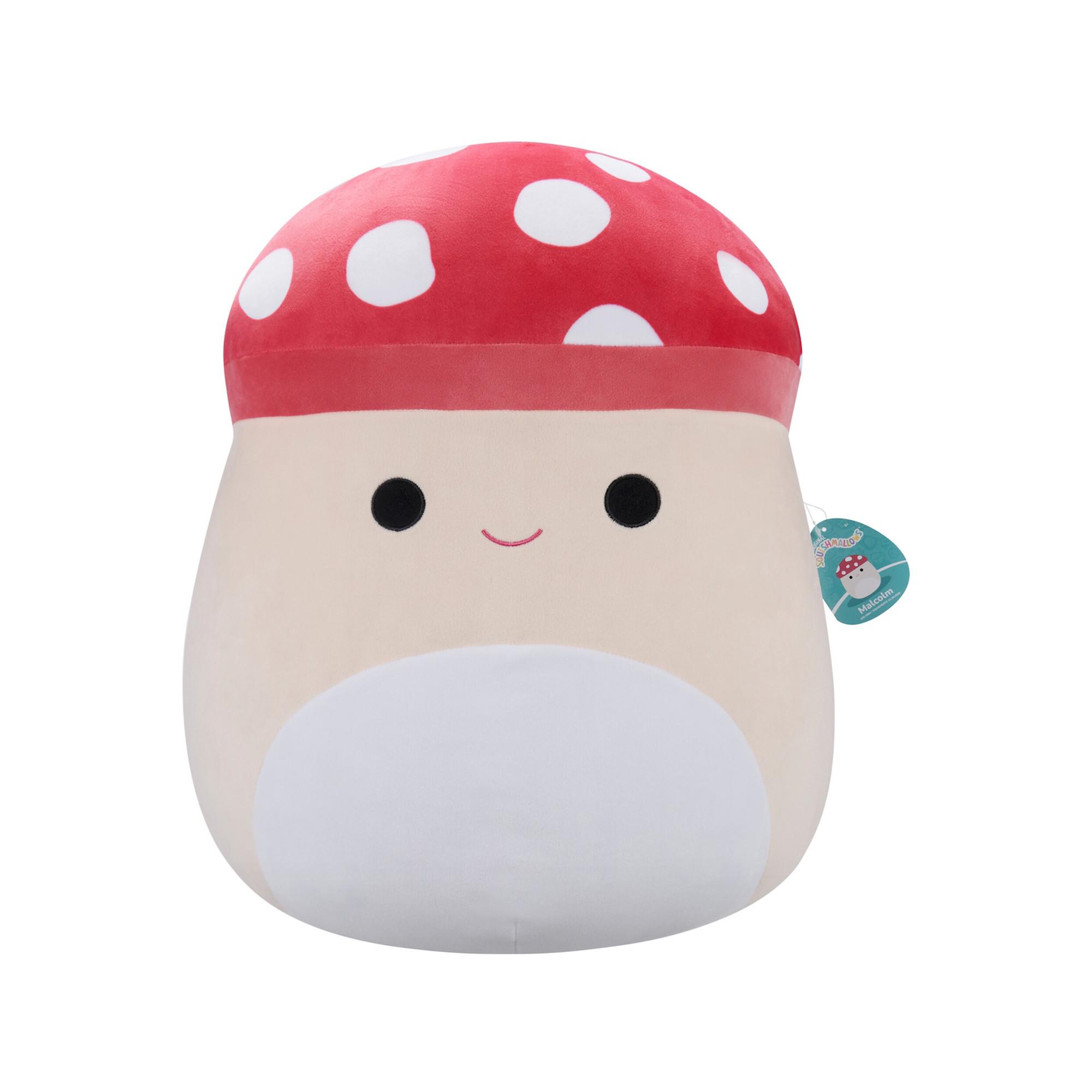 Image of Pilz Malcolm Multicolor