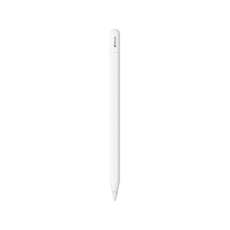 Apple Pencil USB-C Penna per iPad/iPad Pro 