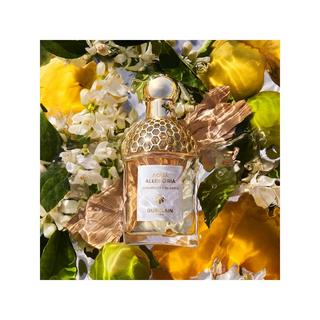 Guerlain Aqua Allegoria Bergamote Calabria Eau de Toilette  