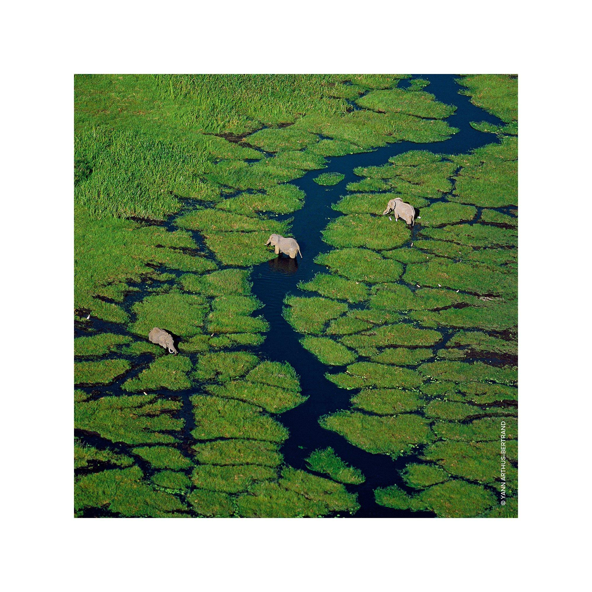 Guerlain Aqua Allegoria Bergamote Calabria Eau de Toilette  