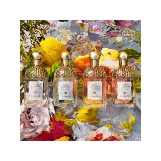 Guerlain Aqua Allegoria Bergamote Calabria Eau de Toilette  