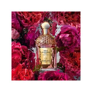 Guerlain Aqua Allegoria Forte Rosa Rossa Eau de Parfum 