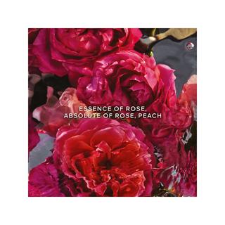 Guerlain Aqua Allegoria Forte Rosa Rossa Eau de Parfum  