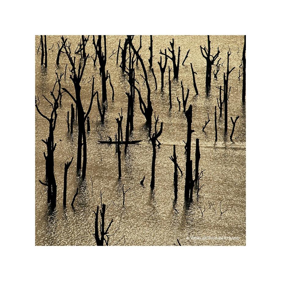 Guerlain Aqua Allegoria Forte Rosa Rossa Eau de Parfum  