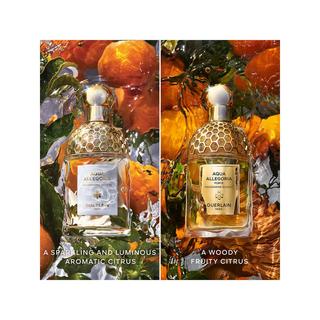 Guerlain Aqua Allegoria Forte Mandarine Basilic Eau de Parfum  