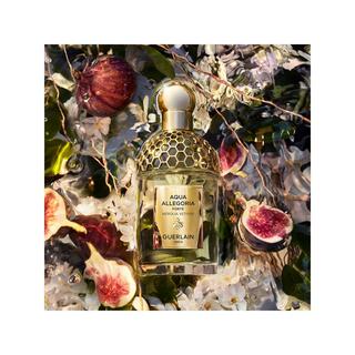 Guerlain Aqua Allegoria Forte Nerolia Vetiver Eau de Parfum  