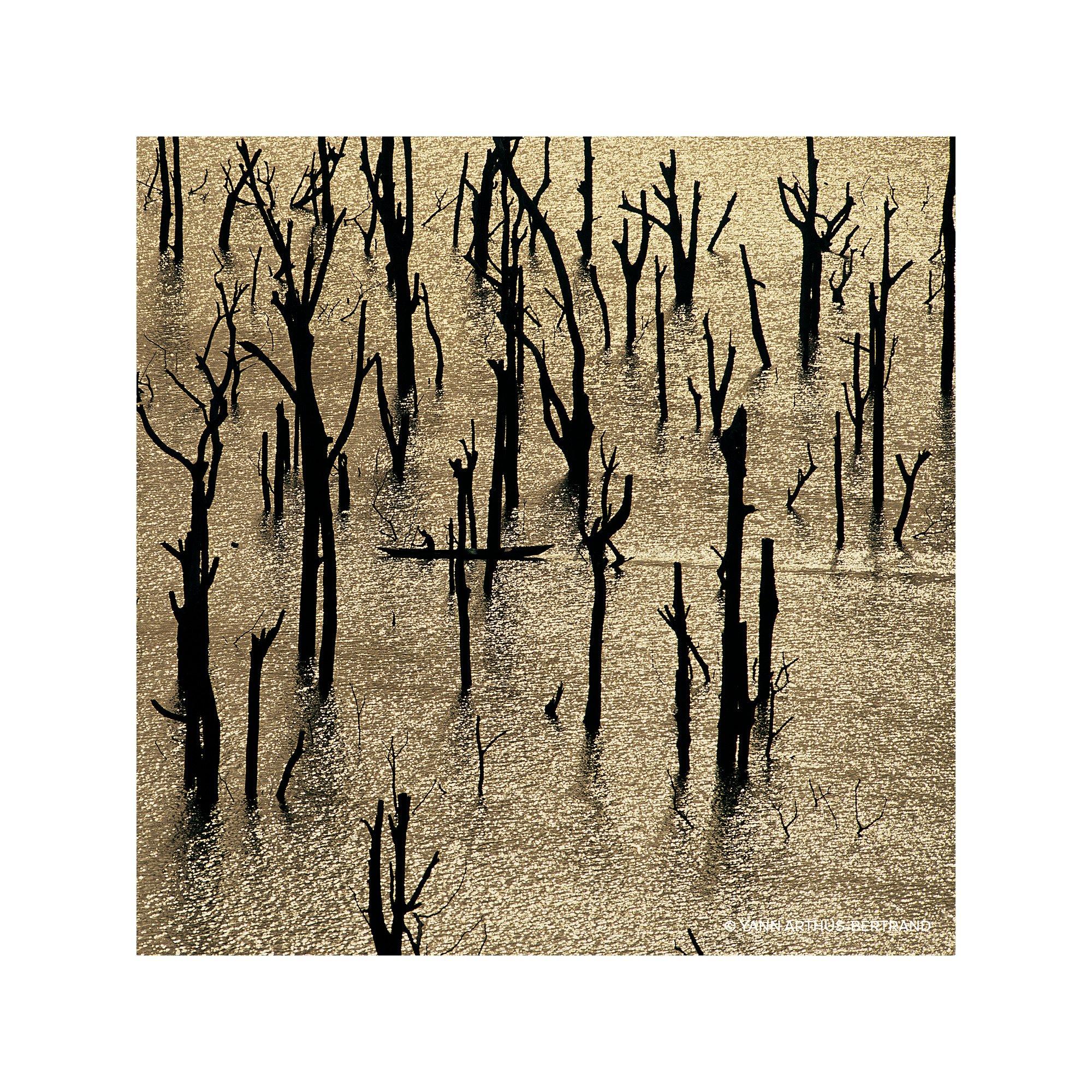 Guerlain Aqua Allegoria Forte Nerolia Vetiver Eau de Parfum  