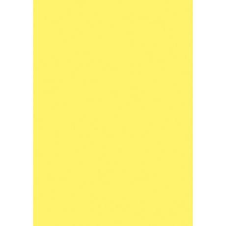 STEWO INTERNATIONAL Geschenkpapier Uni plain 