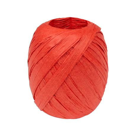 STEWO INTERNATIONAL Ruban cadeau Raffia 