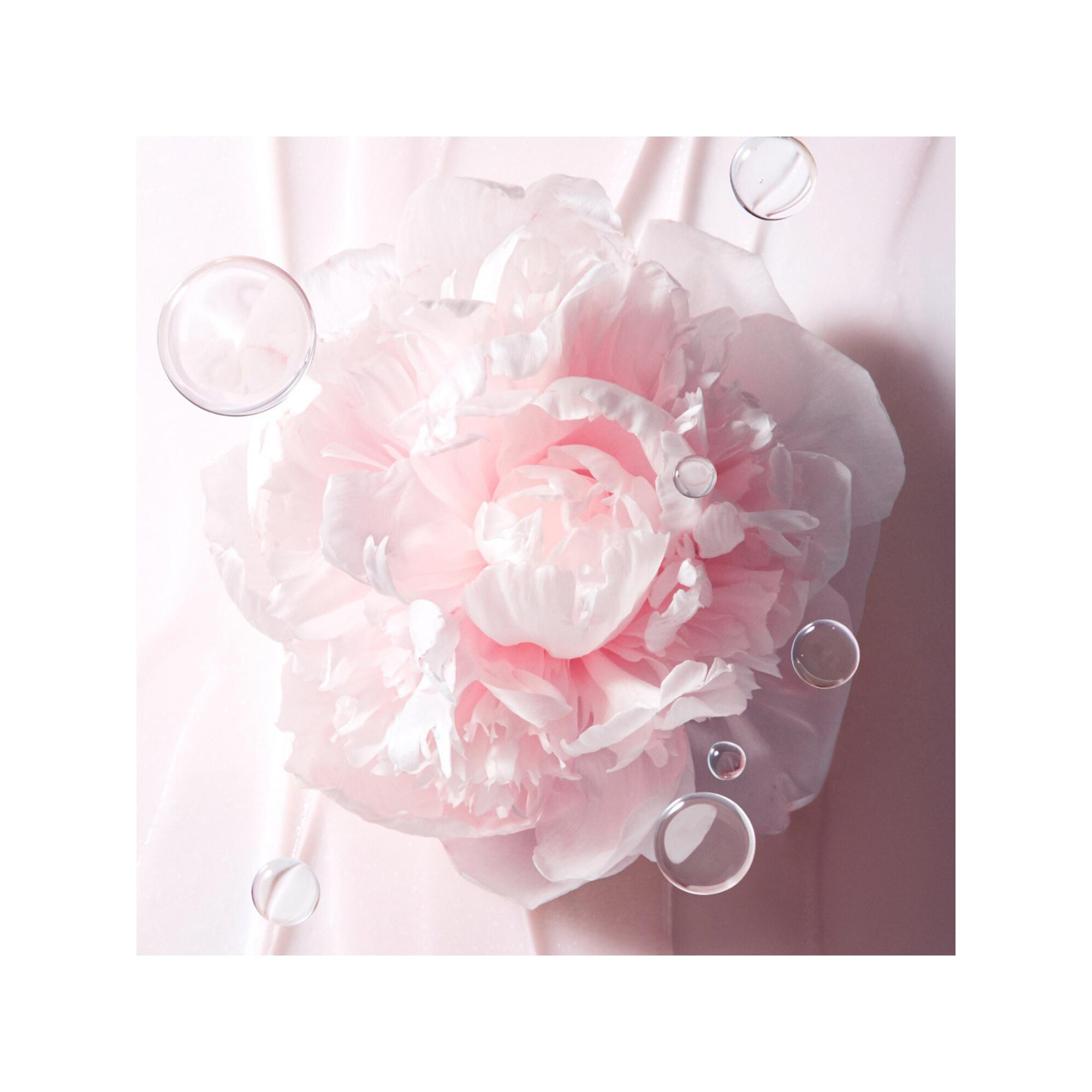 LANEIGE  Bouncy & Firm Sleeping Mask - Masque de Nuit Repulpant & Raffermissant 