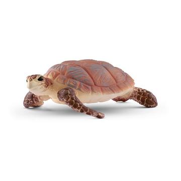 14876 Tartaruga embricata