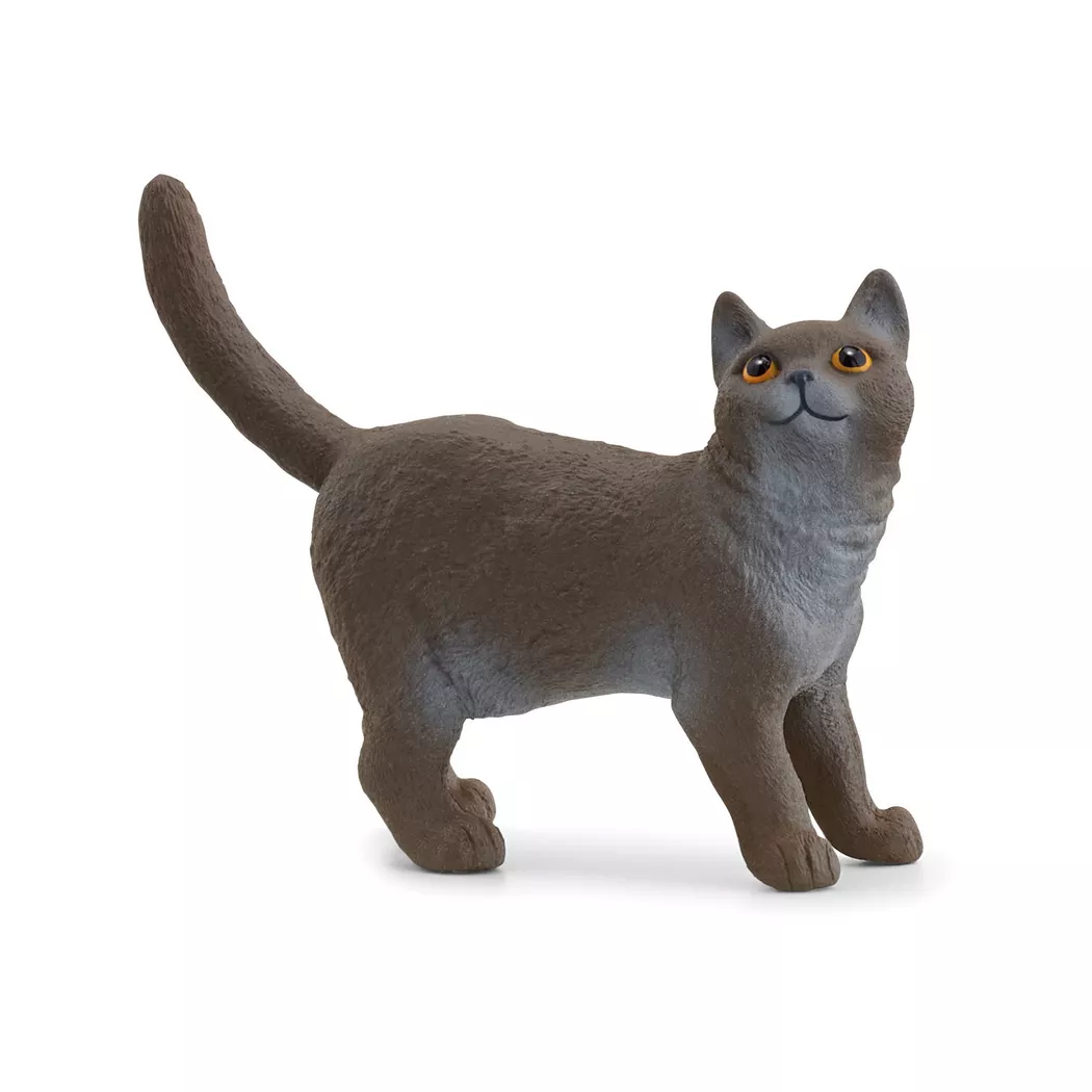 Schleich - 13973 Britische Kurzhaar Katze, Multicolor