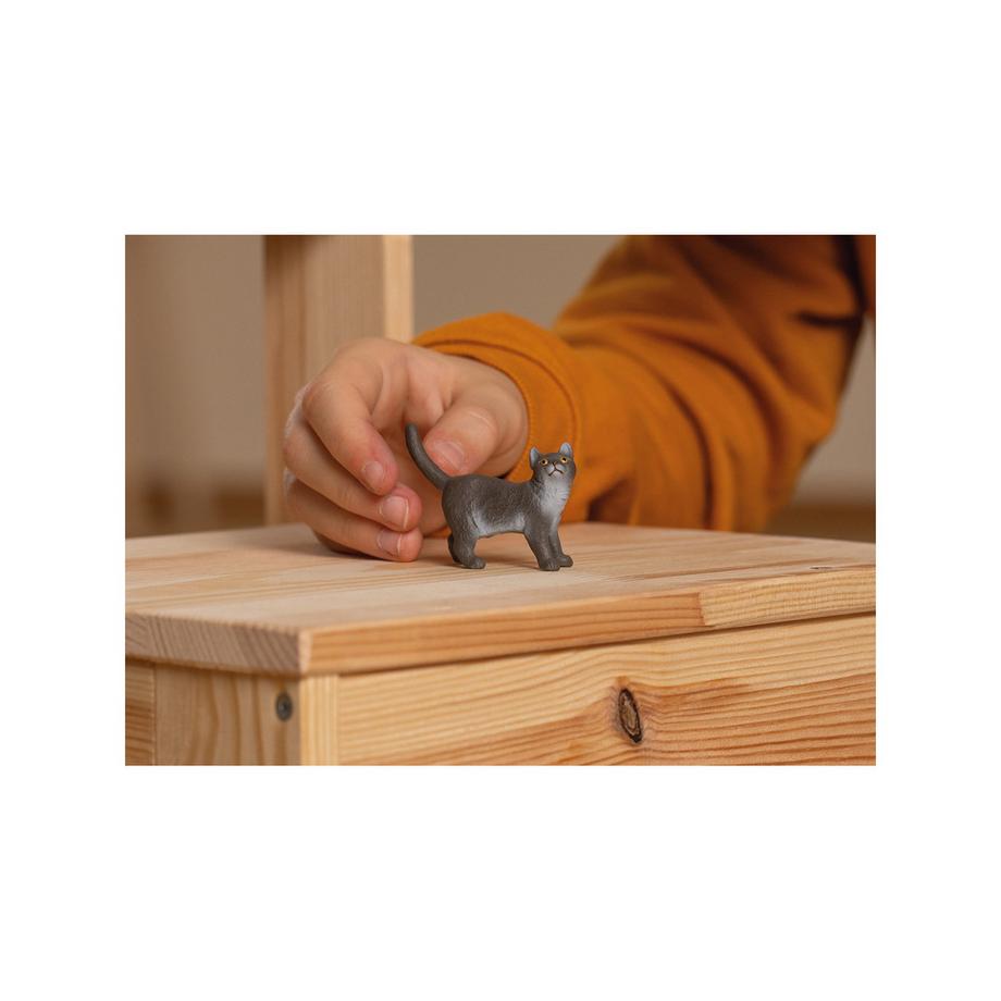 Schleich  13973 Britische Kurzhaar Katze 