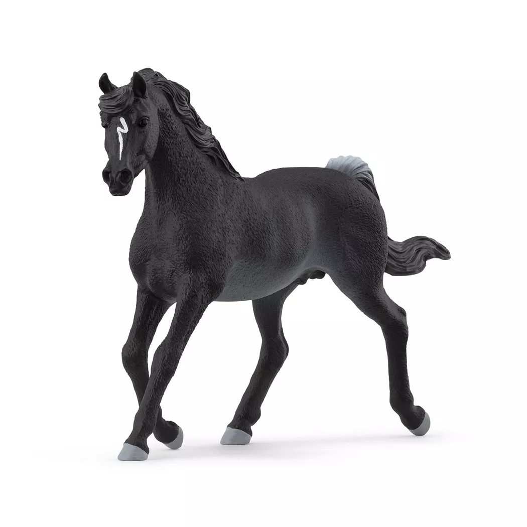 Schleich - 13981 Araber Hengst, Multicolor