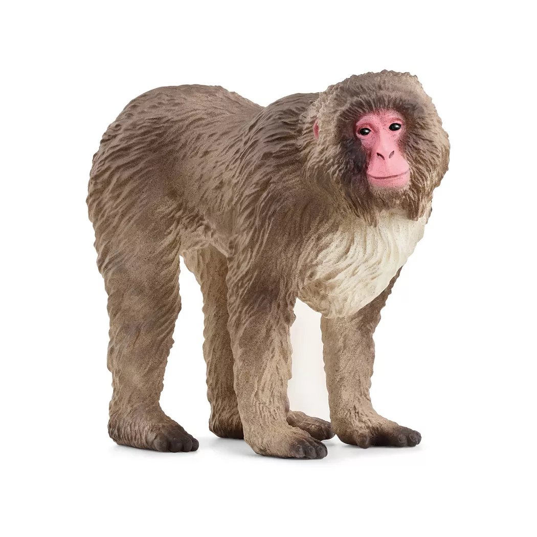 Schleich - 14871 Japanmakak, Multicolor