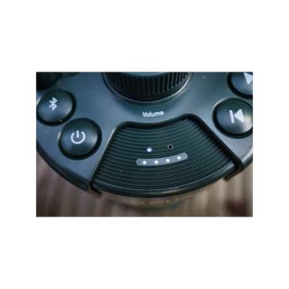 Pure Woodland Glow Portabler Lautsprecher 