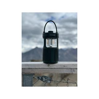 Pure Woodland Glow Portabler Lautsprecher 