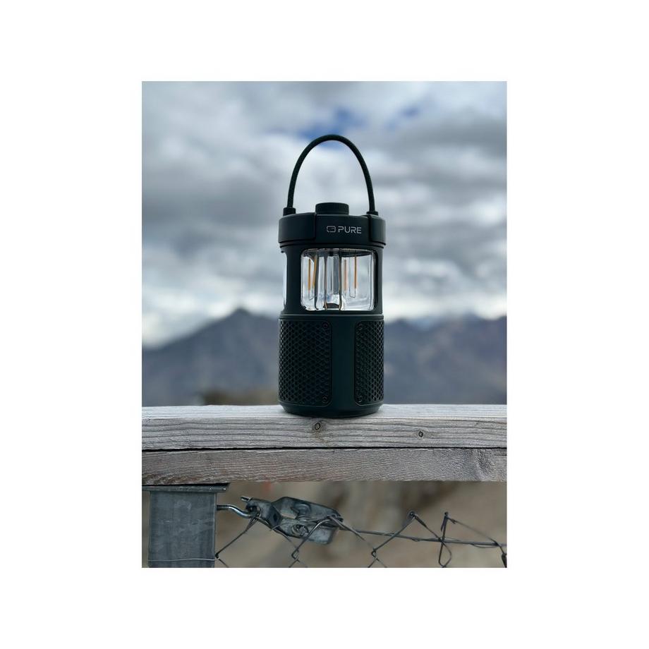 Pure Woodland Glow Portabler Lautsprecher 