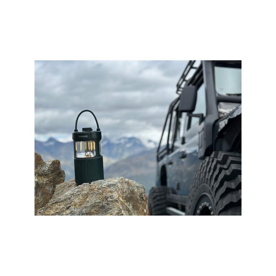 Pure Woodland Glow Portabler Lautsprecher 