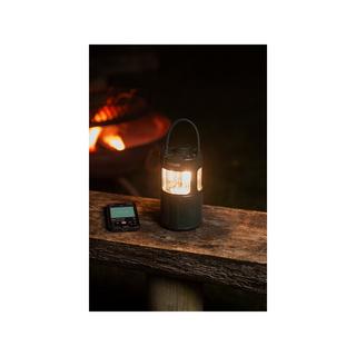 Pure Woodland Glow Haut-parleur portable 
