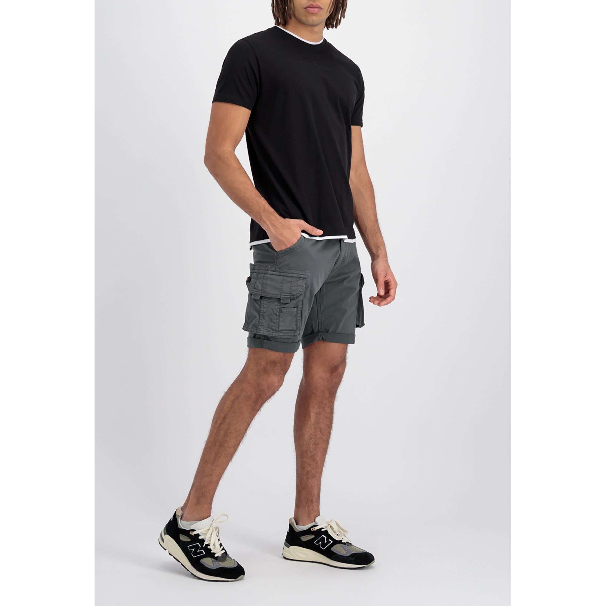 Image of Shorts, Regular Fit Herren Grau 29